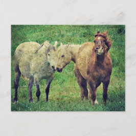 Postal Caballos divertidos