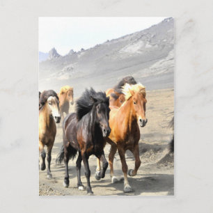 Postal Caballos en camino al éxito