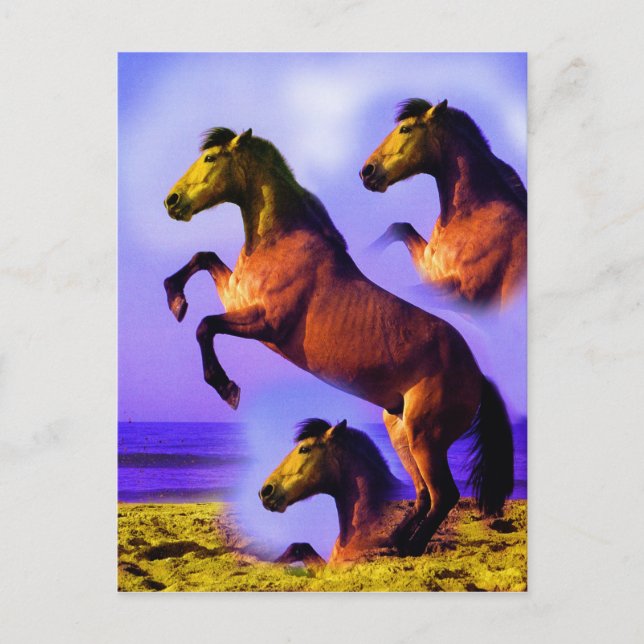Postal Caballos en la arena del tiempo (Anverso)