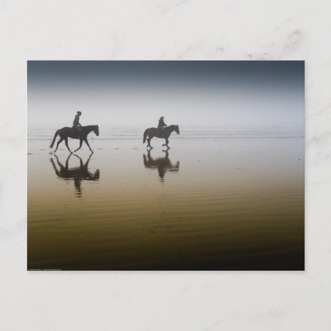 Postal Caballos en la playa (Anverso)