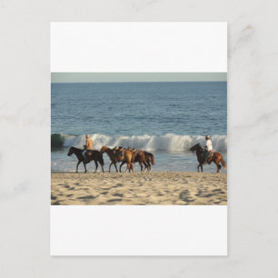 Postal Caballos en la playa