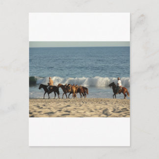 Postal Caballos en la playa