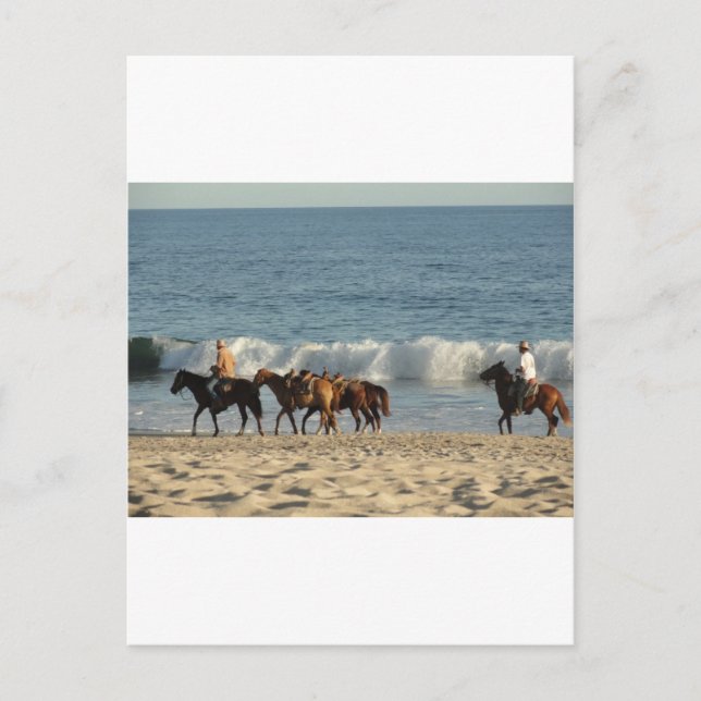 Postal Caballos en la playa (Anverso)