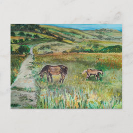 Postal Caballos en la pradera