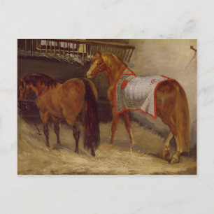 Postal Caballos en los establos