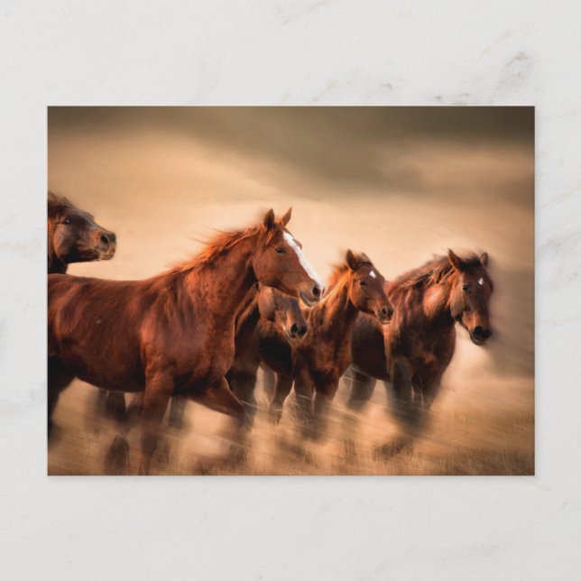 Postal Caballos en marcha (Anverso)