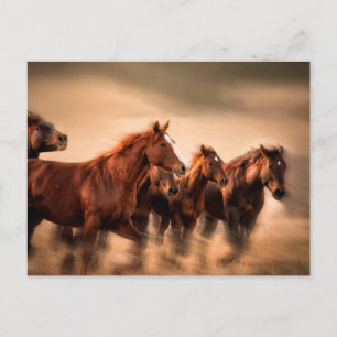 Postal Caballos en marcha