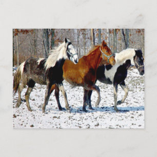 Postal Caballos en nieve de invierno