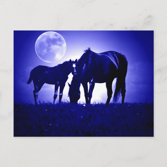 Postal Caballos en Noche Azul (Anverso)