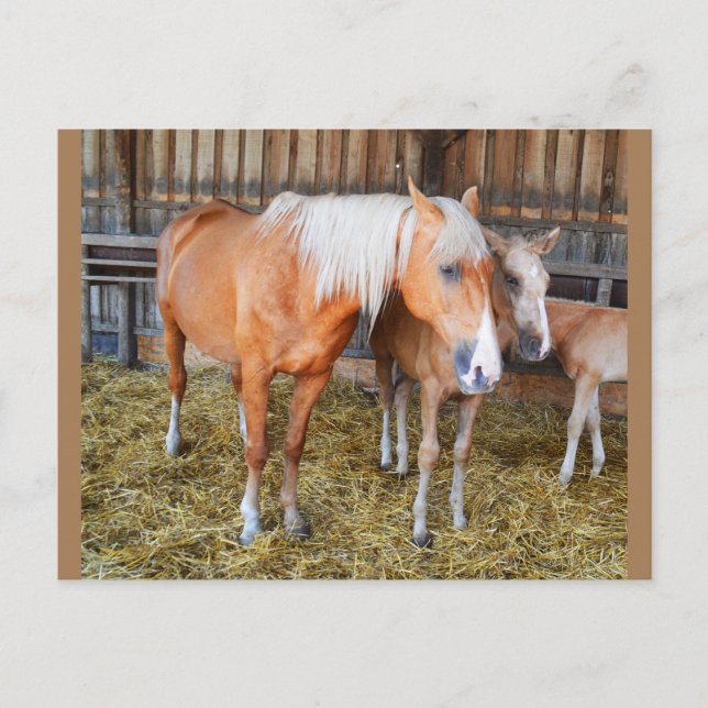 Postal Caballos en un establo (Anverso)