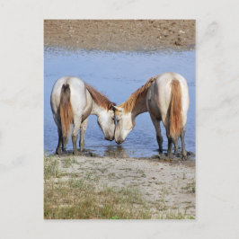 POSTAL CABALLOS ENAMORADOS