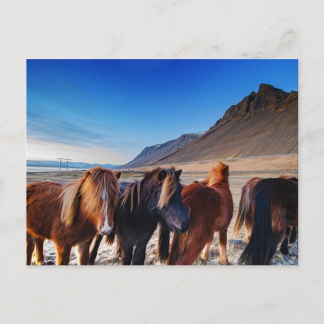 Postal Caballos escandalosos de Islandia (Anverso)