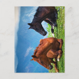 Postal Caballos Moody Mountain: Un Viaje de Arte Refinado