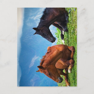 Postal Caballos Moody Mountain: Un Viaje de Arte Refinado