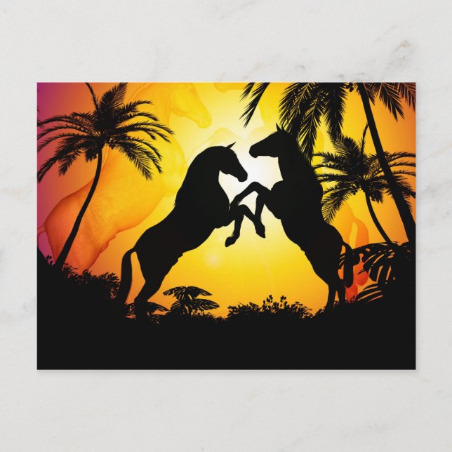 Postal Caballos negros (Anverso)