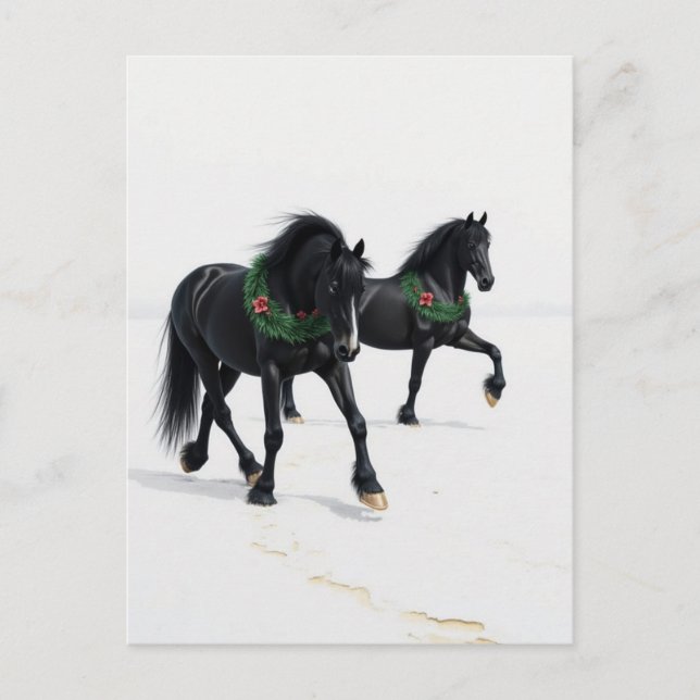 Postal Caballos Negros Hermosos Nieve de Invierno Navidad (Anverso)