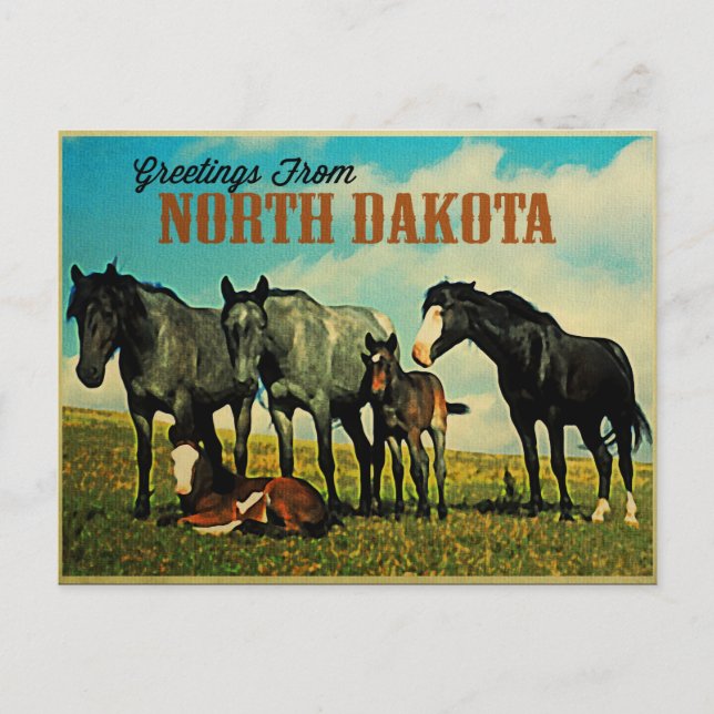 Postal Caballos Nokota de Dakota del Norte (Anverso)