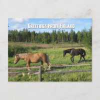 Caballos por el campo finlandés