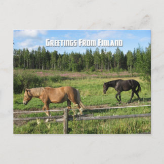 Postal Caballos por el campo finlandés