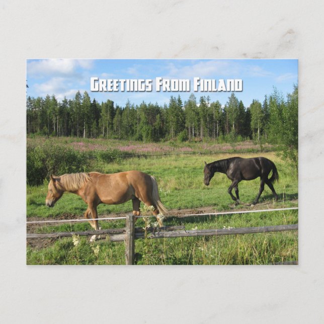 Postal Caballos por el campo finlandés (Anverso)