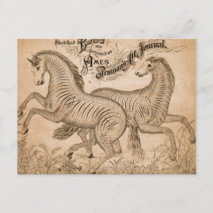Postal Caballos Por Penmandad