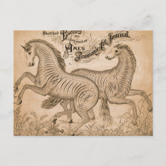 Postal Caballos Por Penmandad