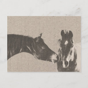 Postal Caballos Rusticos