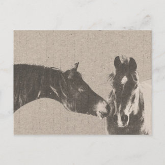 Postal Caballos Rusticos