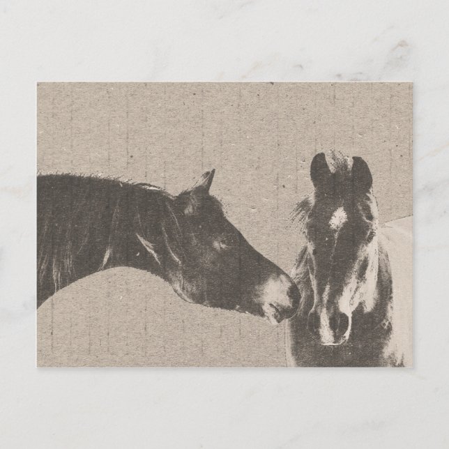 Postal Caballos Rusticos (Anverso)
