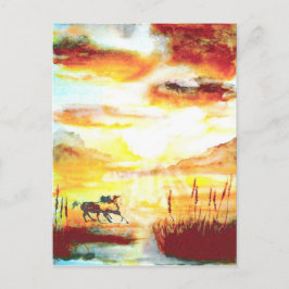 Postal Caballos salvajes.