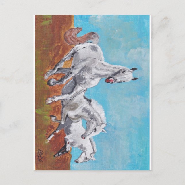 Postal Caballos salvajes (Anverso)