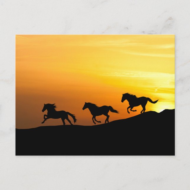 Postal Caballos salvajes corriendo al atardecer - Diseños (Anverso)