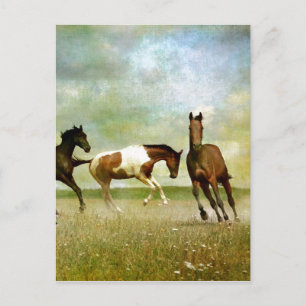 Postal Caballos Salvajes Corriendo - Arte Creativo Vintag