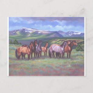 Postal Caballos salvajes de Oregón