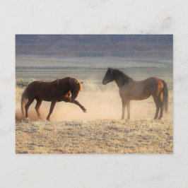 Postal Caballos salvajes McCullough Peaks