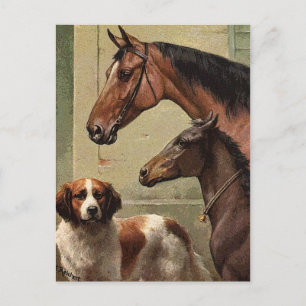 Postal Caballos y arte vintage de St Bernard