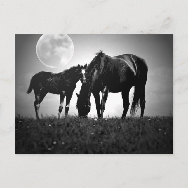 Postal Caballos y luna (Anverso)
