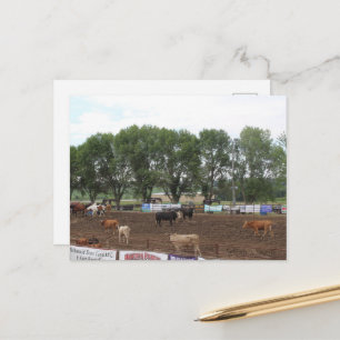Postal Caballos y toros de rodeo