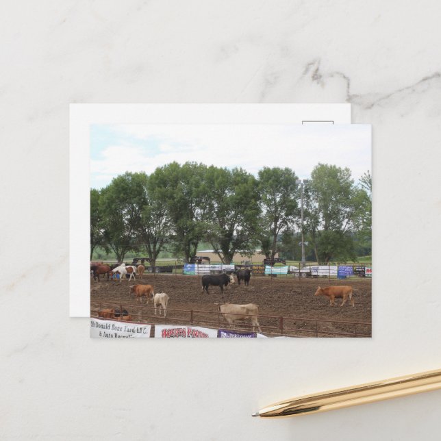 Postal Caballos y toros de rodeo (Anverso/Reverso In Situ)