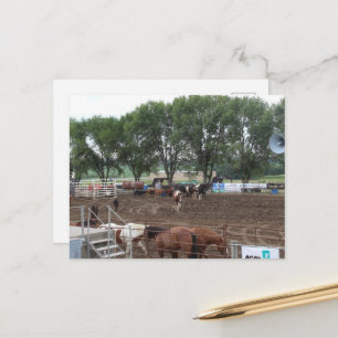 Postal Caballos y toros de rodeo