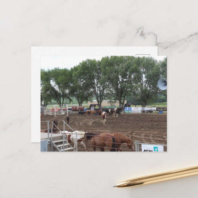 Postal Caballos y toros de rodeo (Anverso/Reverso In Situ)