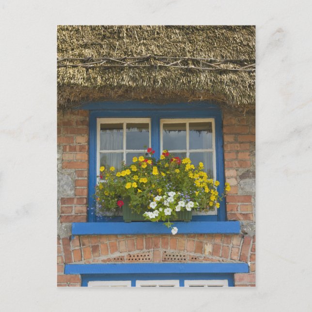 Postal Cabaña de paja, Adare, Condado de Limerick, (Anverso)