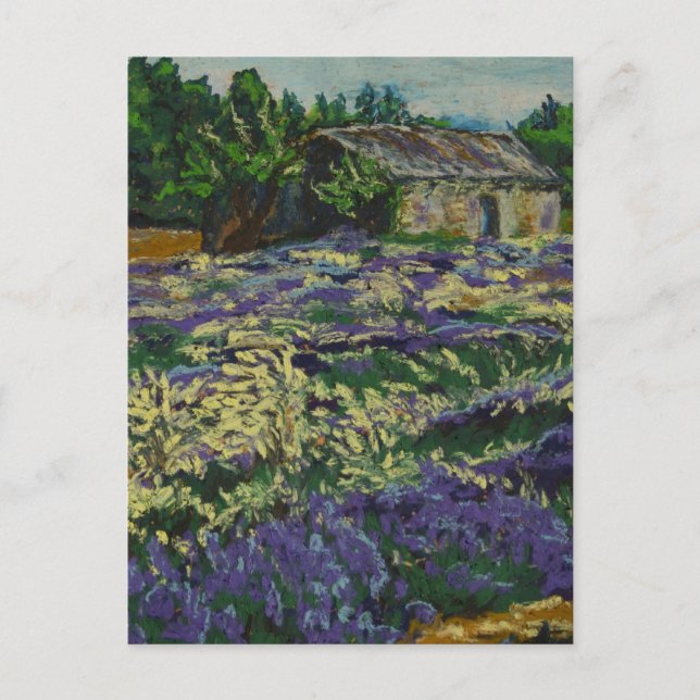 Postal Cabanon dans la lavande (Anverso)