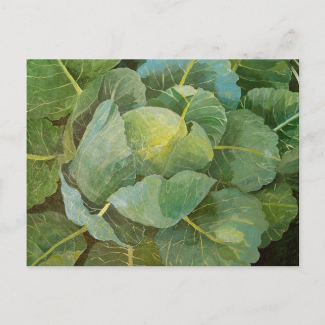 Postal Cabbage (Anverso)