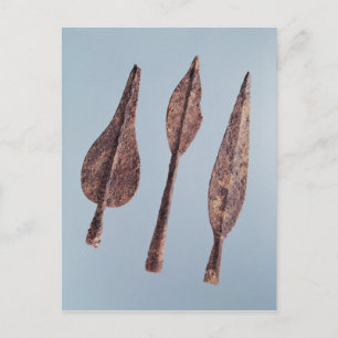 Postal Cabeceras de lomo