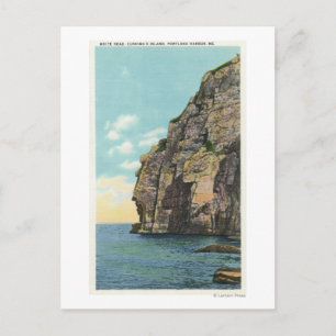 Postal Cabeza blanca en el puerto de Portland
