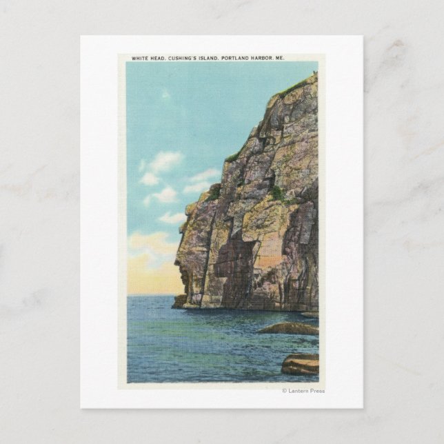 Postal Cabeza blanca en el puerto de Portland (Anverso)