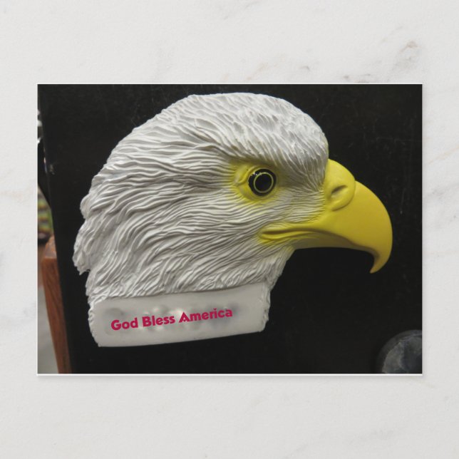 Postal Cabeza de águila (Anverso)