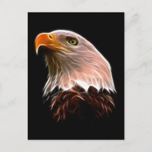 Postal Cabeza de águila calva americana