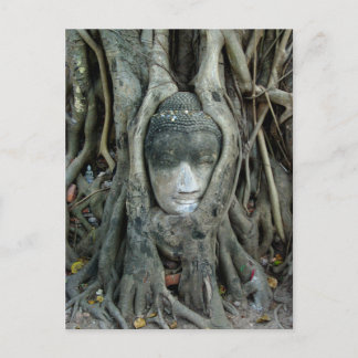 Postal Cabeza de Buda